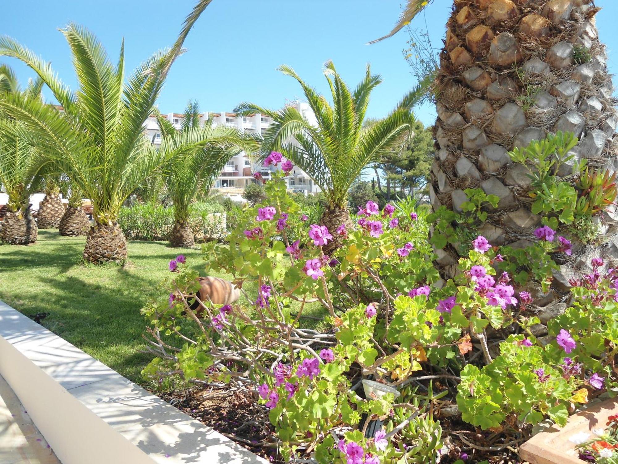 Grand Palladium Santa Eulària des Riu